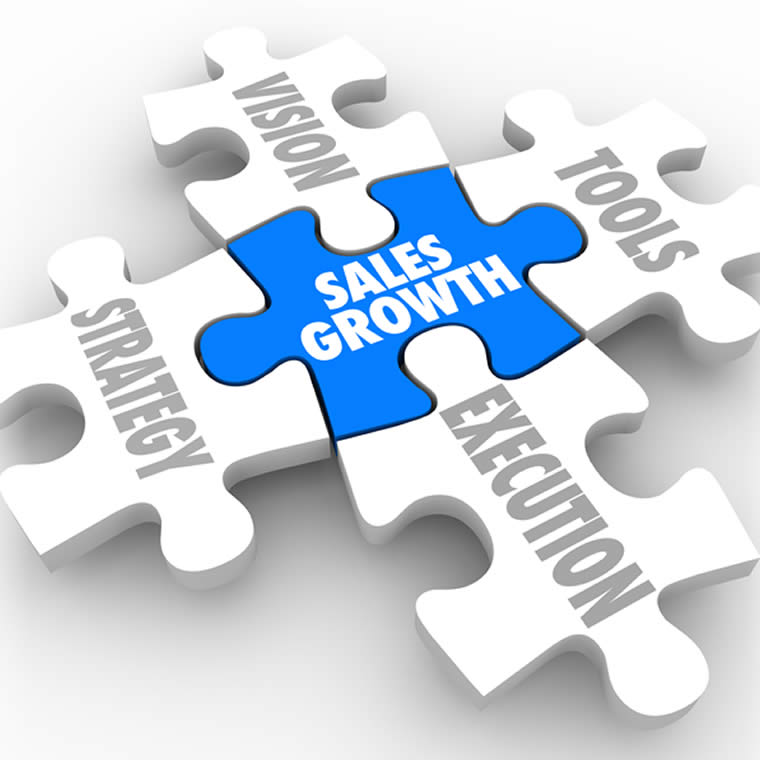 Sales Management Outsourcing